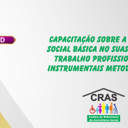 EAD – CAPACITAÇÃO SOBRE A PROTEÇÃO SOCIAL BÁSICA NO SUAS: SERVIÇOS, TRABALHO PROFISSIONAL E OS INSTRUMENTAIS METODOLÓGICOS - Proteção Social Básica site